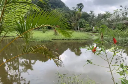 Imagem: Chácara / Sítio para Venda, Agenor de Campos