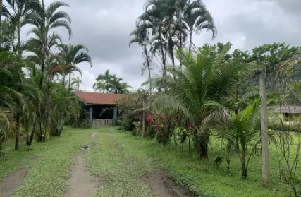 Imagem: Chácara / Sítio para Venda, Agenor de Campos