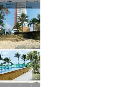 Imagem: Apartamento para Alugar, Guilhermina