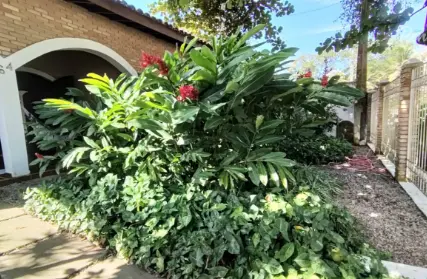 Imagem: Casa Térrea para Venda, Enseada