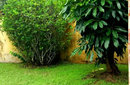 Imagem: Casa Térrea para Venda, Jardim São Fernando