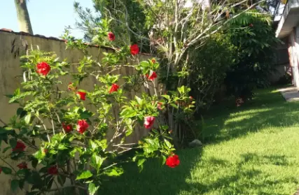 Imagem: Casa Térrea para Venda, Jardim São Fernando