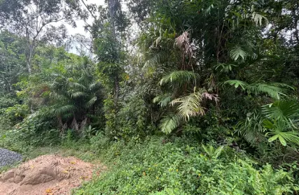 Imagem: Chácara / Sítio para Venda, Jardim Suarão - Interior