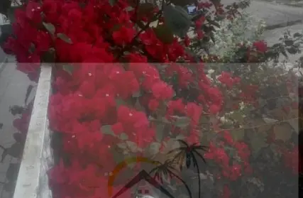 Imagem: Sobrado para Venda, Vila São Paulo