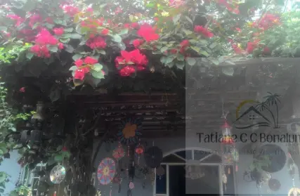 Imagem: Sobrado para Venda, Vila São Paulo