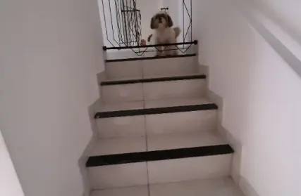 Imagem: Condomínio Fechado para Venda, Vila Antártica