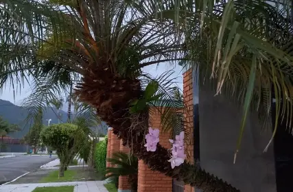 Imagem: Sobrado para Venda, Flórida