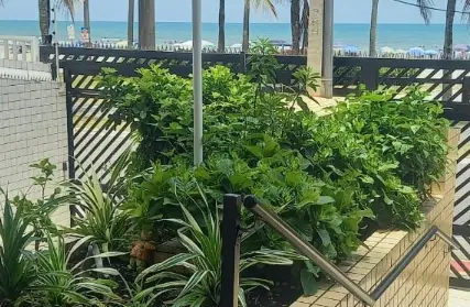 Imagem: Apartamento para Venda, Real