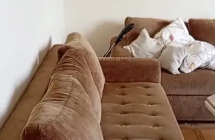 Imagem: Apartamento para Alugar, Gonzaga