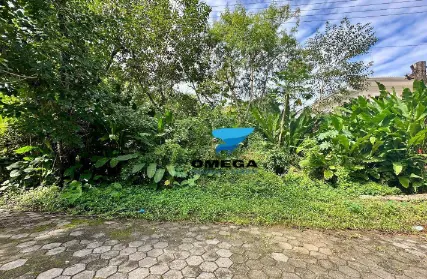 Imagem: Terreno para Venda, Pernambuco