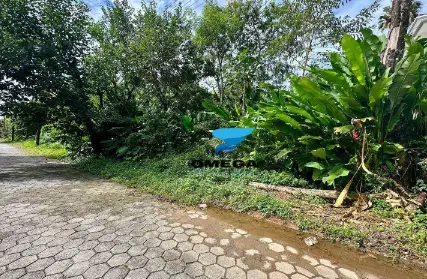 Imagem: Terreno para Venda, Pernambuco