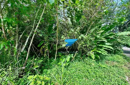 Imagem: Terreno para Venda, Pernambuco