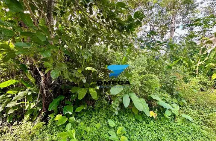 Imagem: Terreno para Venda, Pernambuco