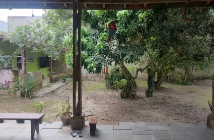 Imagem: Chácara / Sítio para Venda, Jardim Umuarama