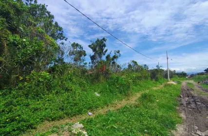 Imagem: Terreno para Venda, Jardim das Palmeiras