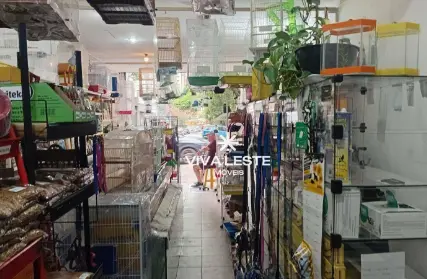 Imagem: Sala Comercial para Venda, Vila Gomes Cardim