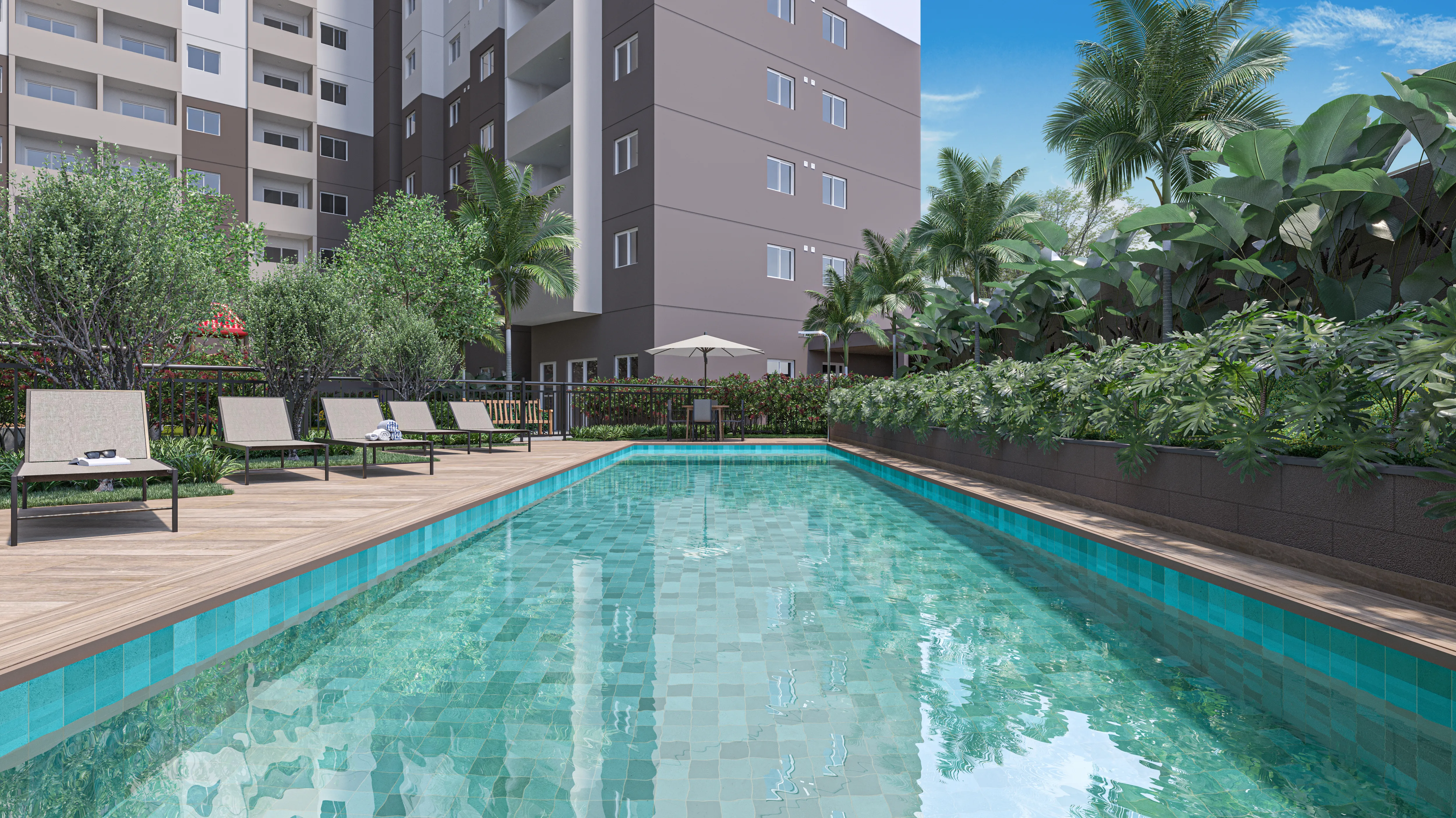 Lançamento  Novvo Anália Franco