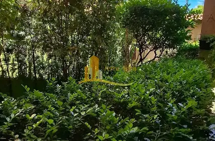 Imagem: Casa Térrea para Venda, Vila Jacuí