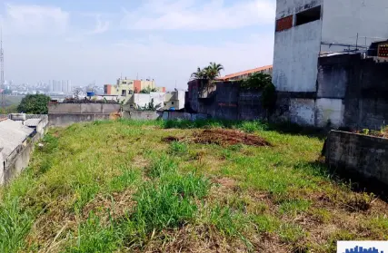Imagem: Terreno para Venda, Itaquera