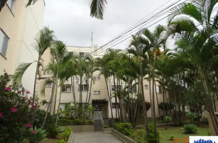 Imagem: Apartamento para Alugar, Vila Sílvia