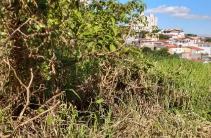 Imagem: Terreno para Alugar, Cangaíba