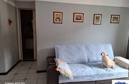 Imagem: Apartamento para Venda, Vila Domitila