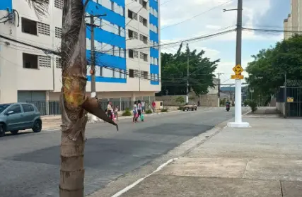 Imagem: Apartamento para Venda, Parque São Lourenço