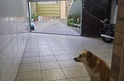 Imagem: Sobrado para Venda, Mooca