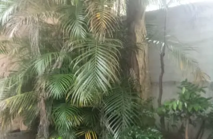 Imagem: Sobrado para Venda, Jardim Brasília (ZL)