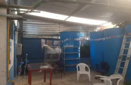 Imagem: Galpão / Salão para Venda, Vila Carrão