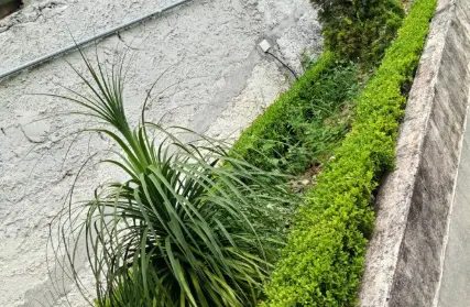 Imagem: Apartamento para Alugar, Itaquera