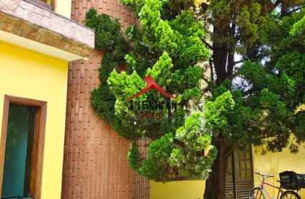 Imagem: Sobrado para Venda, Cidade Patriarca