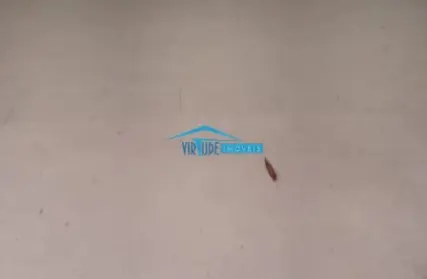 Imagem: Galpão / Salão para Alugar, Aricanduva