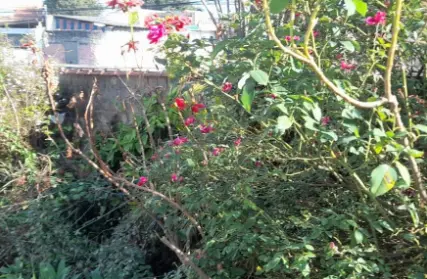 Imagem: Casa Térrea para Venda, Jardim Adelaide