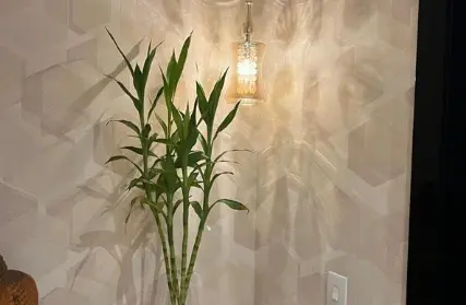 Imagem: Apartamento para Venda, Colônia (ZL)