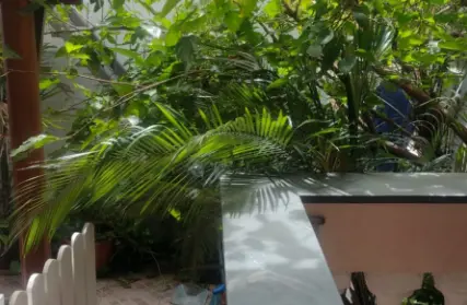 Imagem: Casa Térrea para Venda, Penha