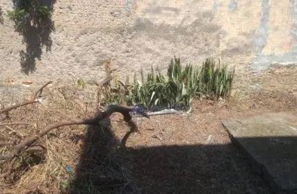 Imagem: Terreno para Venda, Vila Brasil