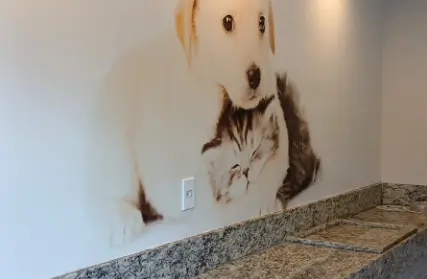 Imagem: Apartamento para Alugar, Vila Ré