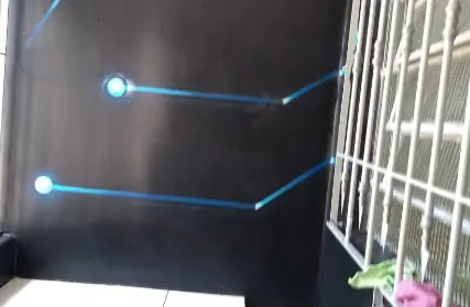 Imagem: Galpão / Salão para Alugar, Tatuapé