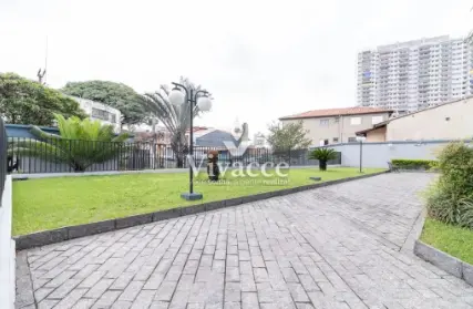 Imagem: Apartamento para Alugar, Vila Guilhermina