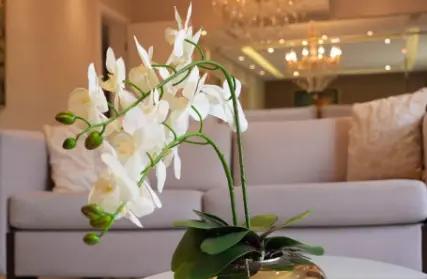 Imagem: Apartamento para Venda, Tatuapé