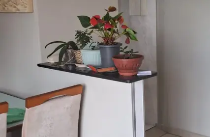 Imagem: Apartamento para Alugar, Vila Carmosina