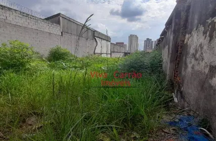 Imagem: Terreno para Venda, Vila Santa Clara