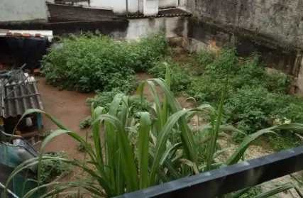 Imagem: Galpão / Salão para Venda, Vila Formosa