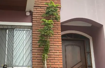 Imagem: Sobrado para Venda, Jardim Textil