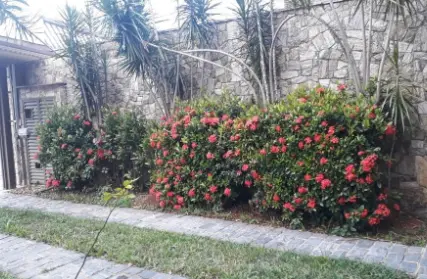 Imagem: Casa Térrea para Venda, Parque Cruzeiro do Sul