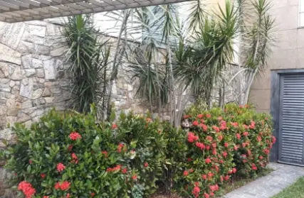 Imagem: Casa Térrea para Venda, Parque Cruzeiro do Sul