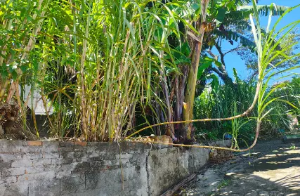 Imagem: Terreno para Venda, Vila Paranaguá