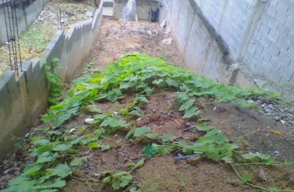 Imagem: Terreno para Venda, Parque Boturussu