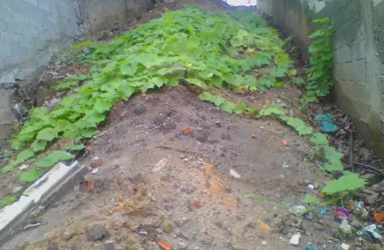 Imagem: Terreno para Venda, Parque Boturussu